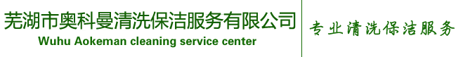 廠房清洗-案例展示-蕪湖市奧科曼清洗保潔服務有限公司